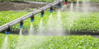 Greenhouse and irrigation control